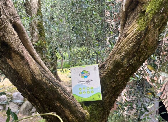 Waarom Wasmiddel strips het Milieuvriendelijke Alternatief zijn voor Traditionele Wasmiddelen