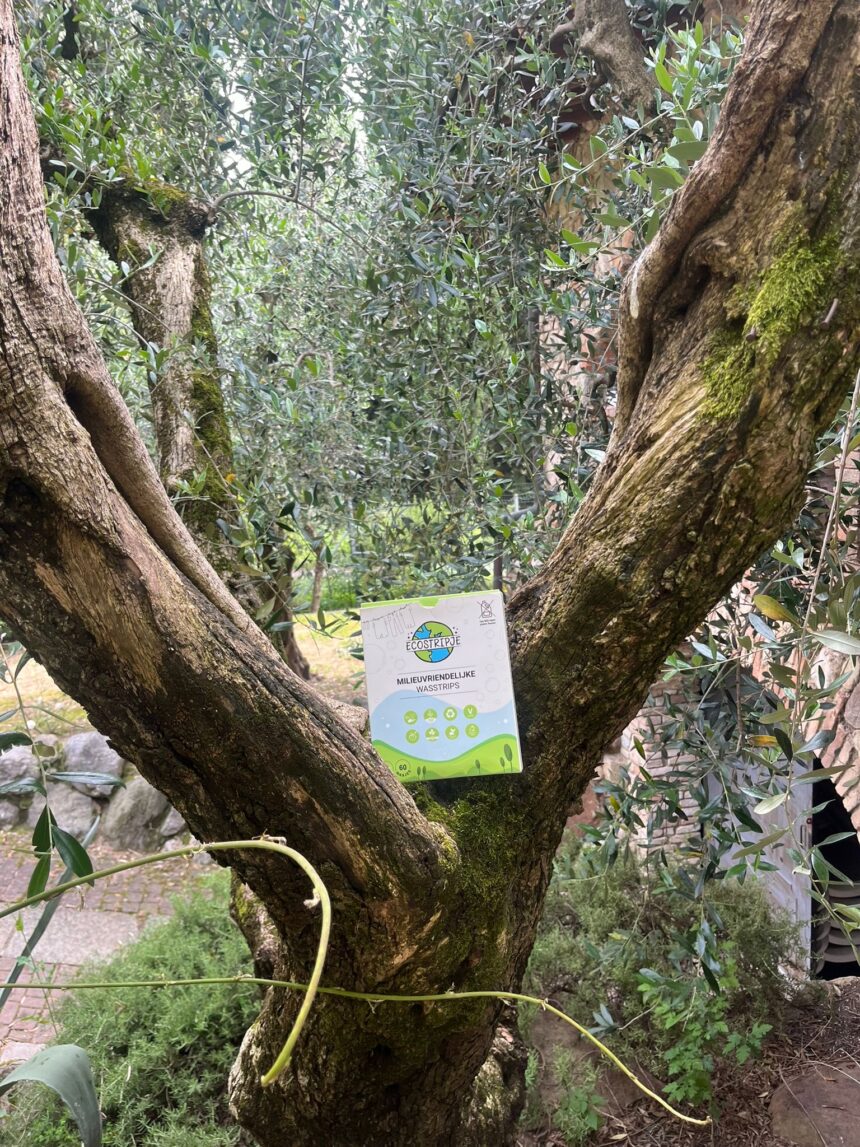 Waarom Wasmiddel strips het Milieuvriendelijke Alternatief zijn voor Traditionele Wasmiddelen